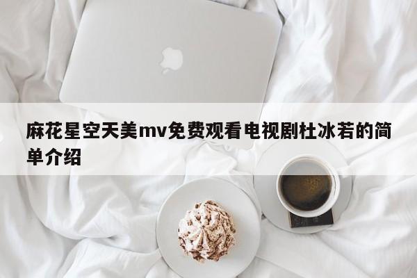 麻花星空天美mv免费观看电视剧杜冰若的简单介绍