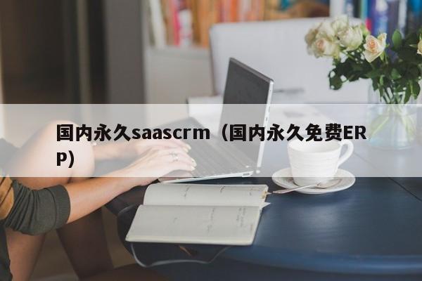 国内永久saascrm(国内永久免费ERP)