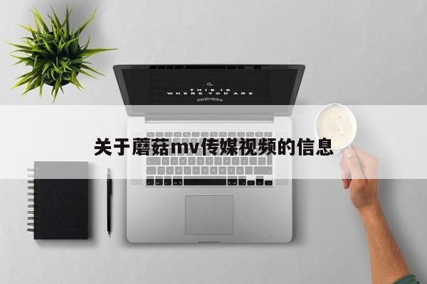 关于蘑菇mv传媒视频的信息